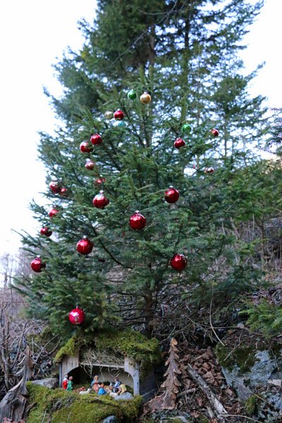 IMG_5610.jpg - Weihnachtsbaum mit Krippe - das hat jemand den Wegrand wirklich wunderbar verschönert!