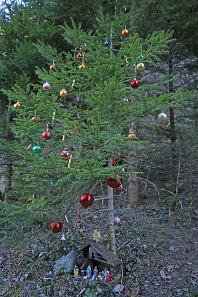 IMG_5670.jpg - Am Wegrand finden wir einen weiteren Weihnachtsbaum mit Krippe