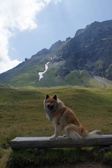 legro_bergkulisse.jpg - Legro posiert vor der Naturkulisse