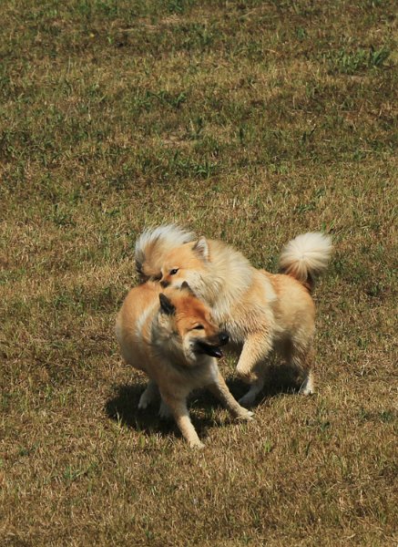 IMG_8463.jpg - Phoebe: Jetzt hab ich dich!