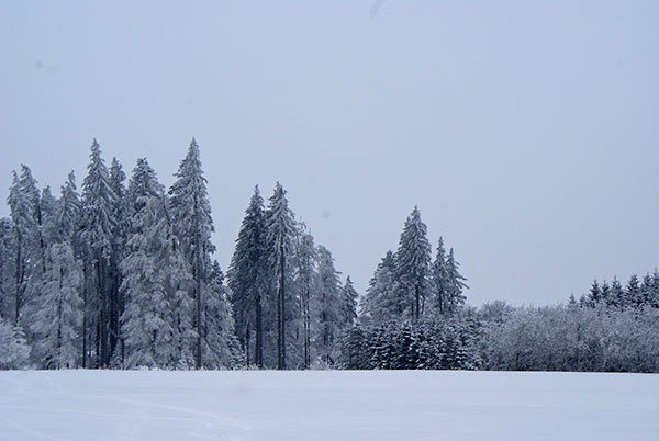 DSC01117.jpg - Winter-Märchenlandschaft - einfach wunderschön!