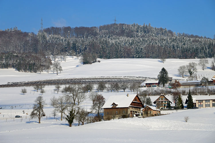 IMG_1715.jpg - Wunderbar winterliche Landschaft
