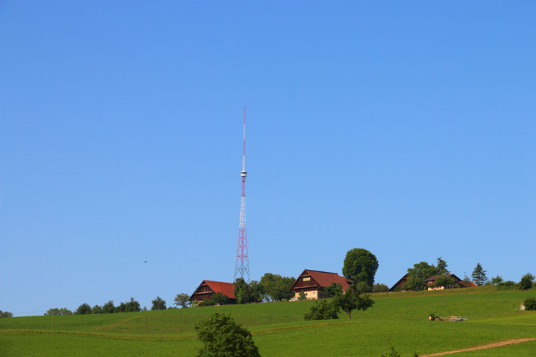 IMG_0079.jpg - Aussicht zum Landessenderturm