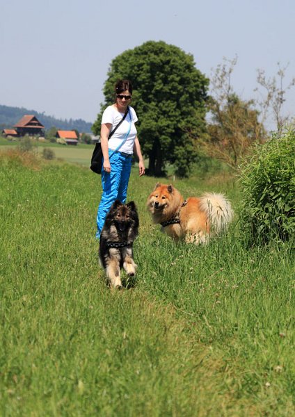 IMG_0156.jpg - Sayuri, Legro und Sayuri's Frauchen