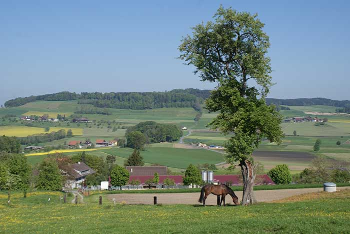 aussicht.jpg - Idyllische Landschaft