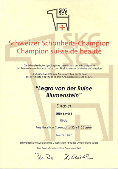 Schweizer Schönheitschampion