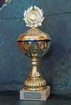 Pokal 2008