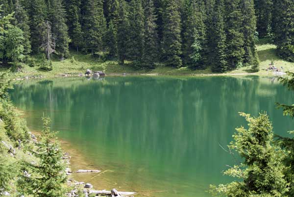 hinterburgsee_1.jpg - Der Hinterburgsee liegt sehr idyllisch, ...