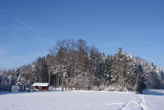 DSC06980.jpg