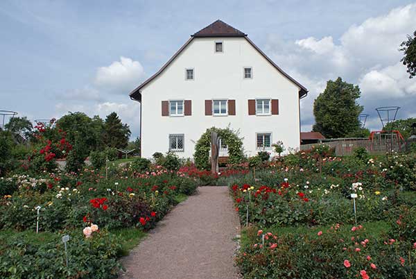 noeggenschwiel_versuchsgart.jpg - In praktisch jedem Garten sind verschiedene Rosensorten zu bewundern.