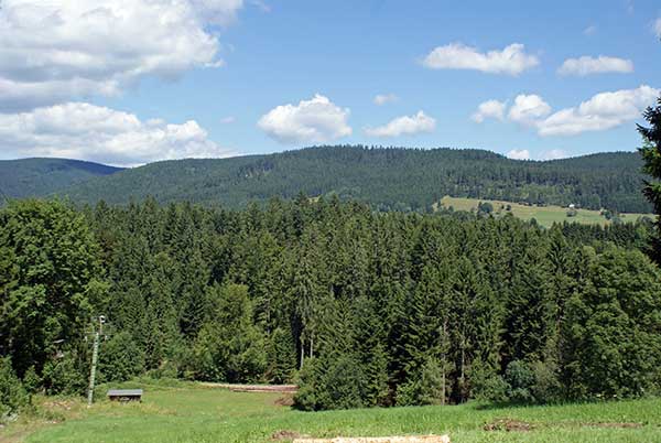 schwarzwald.jpg - Schwarzwald pur und ...