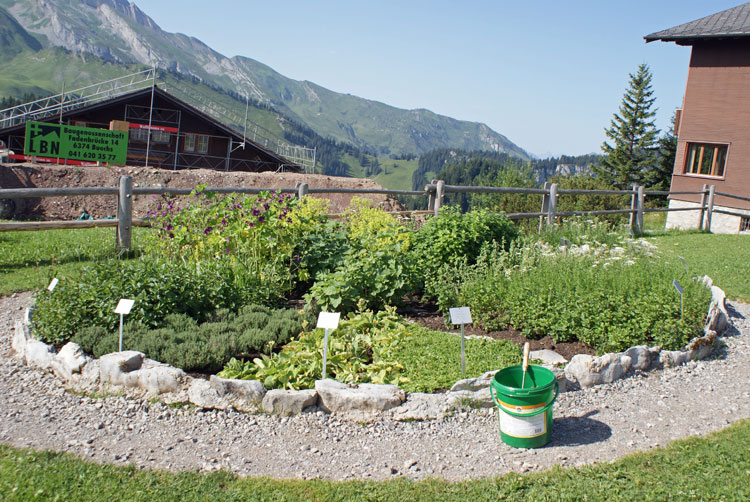 17_kraeutergarten.jpg - ... bietet eine Vielfalt an Alpenkräutern.