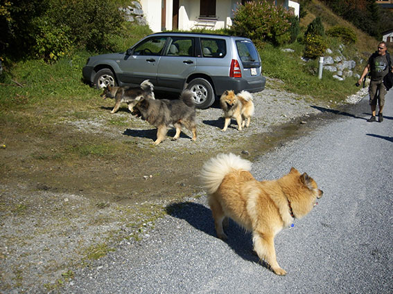 Treffen2007.jpg - Blick zurück, ob alle kommen