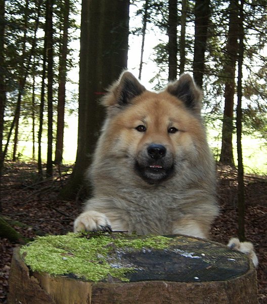 07_14_kuckuck.jpg - Kuckuck!