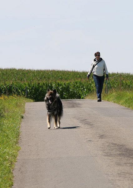 IMG_0524.jpg - Sayuri und Frauchen im Anmarsch