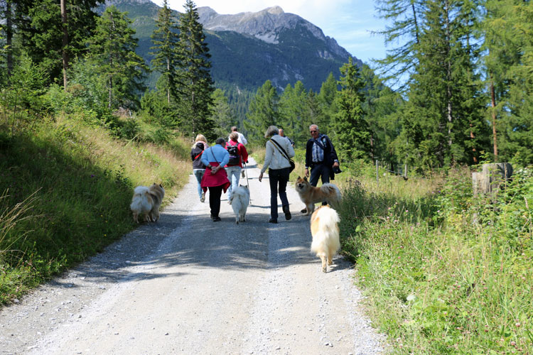 IMG_0718.jpg - Gemütlich sind wir unterwegs