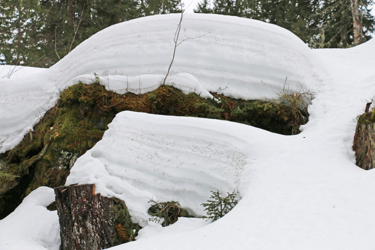 IMG_7239.jpg - Die verschiedenen Schneeschichten sind gut sichtbar